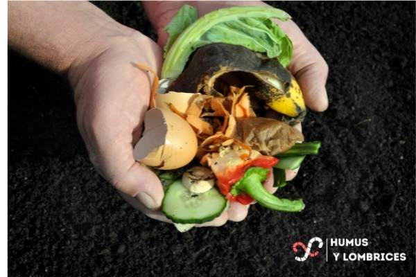 Por qué celebrar el Día de la Tierra haciendo compostaje casero