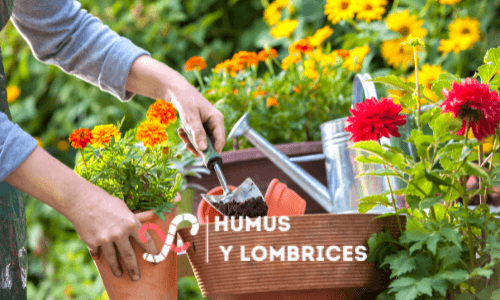 GUÍA COMPLETA sobre el humus de lombriz: el fertilizante más potente